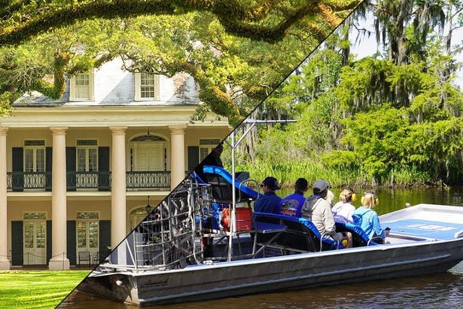 Oak Alley Plantation and Small Airboat Tour from New Orleans - Wildlife expectations: gators are close, but not promised
