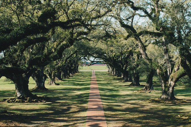 Oak Alley Plantation and Small Airboat Tour from New Orleans - Small-group promise versus shuttle reality