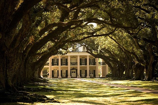 Oak Alley Plantation and Small Airboat Tour from New Orleans - Barataria Preserve on an airboat: speed, seating, and what that ride really feels like