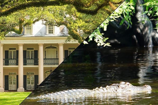 Oak Alley Plantation and Swamp Boat Tour from New Orleans - Oak Alley Plantation House Tour, Oaks, and What the Grounds Offer