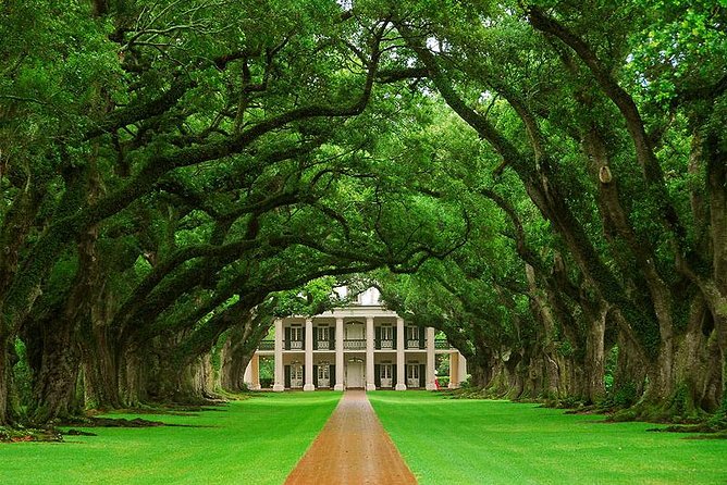 Oak Alley Plantation Half-Day Tour from New Orleans - Key Highlights You’ll Actually Use