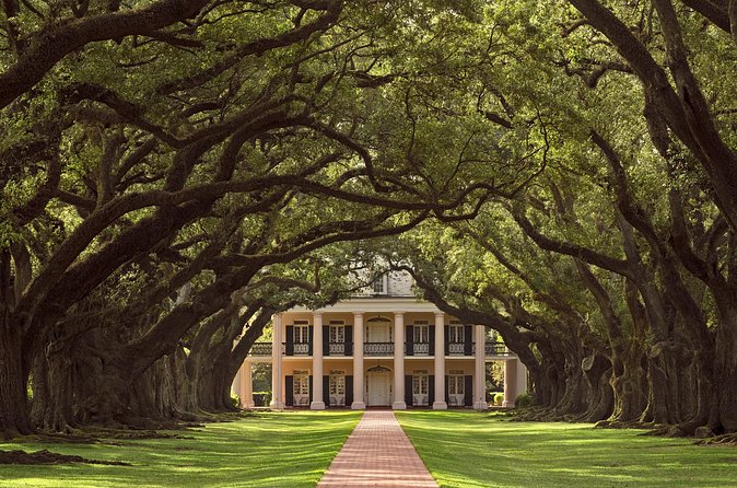 Oak Alley Plantation Tour with Pickup from New Orleans - Lunch, bathrooms, and the practical side of visiting