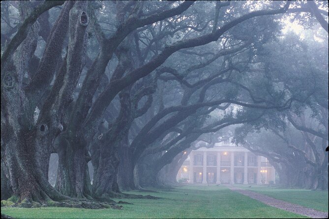 Oak Alley Plantation Tour with Pickup from New Orleans - Price and value: is $86.70 a fair deal?