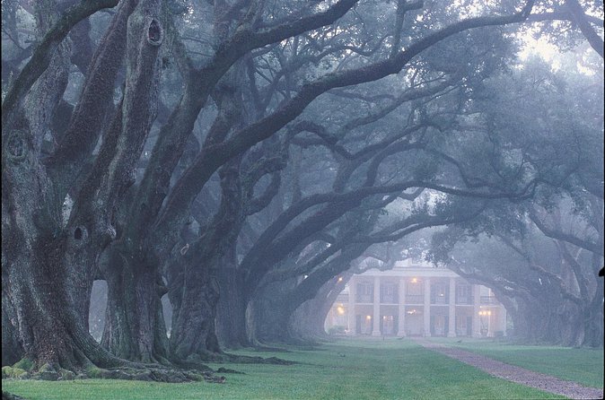 Oak Alley Plantation Tour with Pickup from New Orleans - Who should book this Oak Alley tour with pickup?