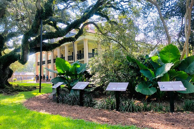 Oak Alley Plantation Tour with Transportation from New Orleans - After the mansion: grounds time, photos, and the plantation cafe