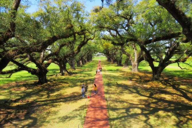 Oak Alley Plantation Tour with Transportation from New Orleans - Swamp upgrade: a 90-minute pontoon tour for bayou wildlife and water-country stories