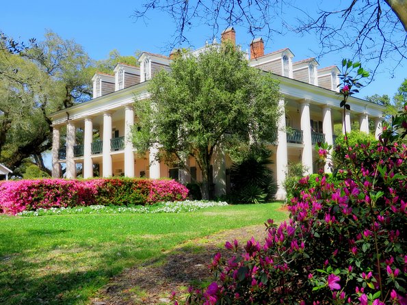 Oak Alley Plantation Tour with Transportation from New Orleans - Should you book Oak Alley with New Orleans transportation?
