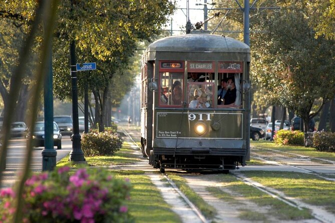 Private New Orleans City Tour with Local Expert Guide - Uptown and Carrollton along the streetcar corridor