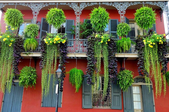 Private New Orleans City Tour with Local Expert Guide - Garden District and St. Charles Ave, plus City Park and Audubon Park