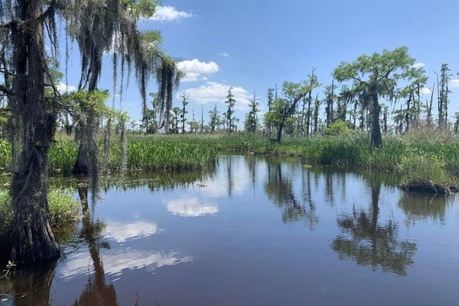 Small-Group Airboat Swamp Tour with Downtown New Orleans Pickup - Downtown New Orleans pickup and the trip to Barataria Preserve
