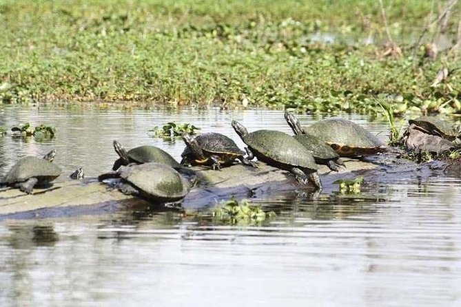 Small-Group Airboat Swamp Tour with Downtown New Orleans Pickup - What to wear and bring so the ride stays fun