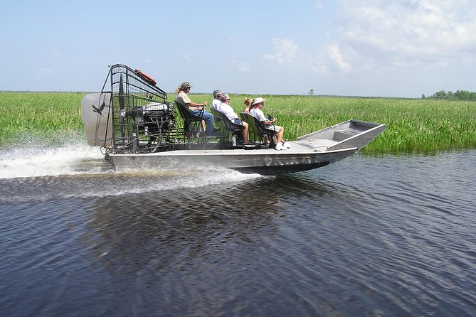 Small-Group Bayou Airboat Ride with Transport from New Orleans - The Airboat Ride: Speed, Water-Level Views, and Real Wildlife Odds