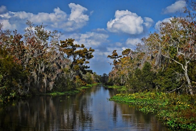 Small-Group Bayou Airboat Ride with Transport from New Orleans - How the Best Captains Turn a Ride Into Stories You Remember