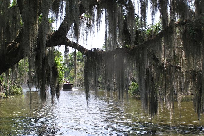 Small-Group Bayou Airboat Ride with Transport from New Orleans - What’s Included, What’s Not, and What to Bring