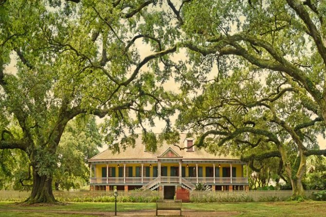 Small-Group Laura and Whitney Plantation Tour from New Orleans - Key highlights and why they matter