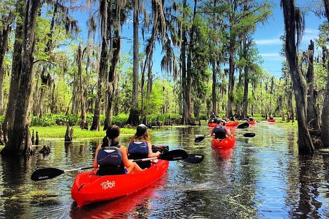 Small-Group Manchac Swamp Kayak Tour - Key things that make this Manchac Swamp kayak tour worth it