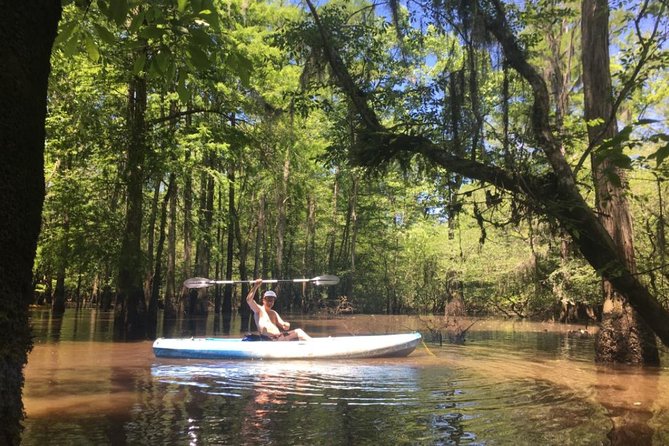 Small-Group Manchac Swamp Kayak Tour - Wildlife spotting that is actually part of the activity