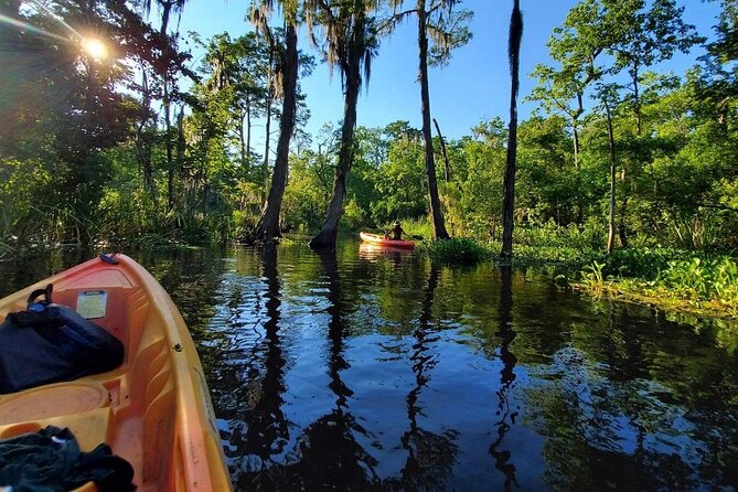 Small-Group Manchac Swamp Kayak Tour - Why the shallow waterways matter more than you think
