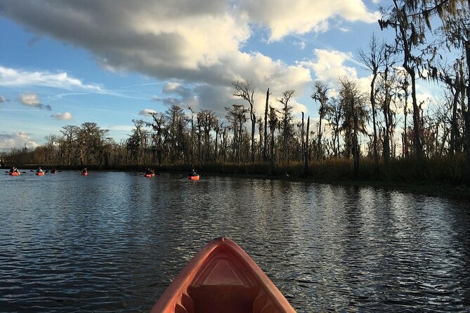 Small-Group Manchac Swamp Kayak Tour - Pacing, fitness, and sharing space in a max eight group