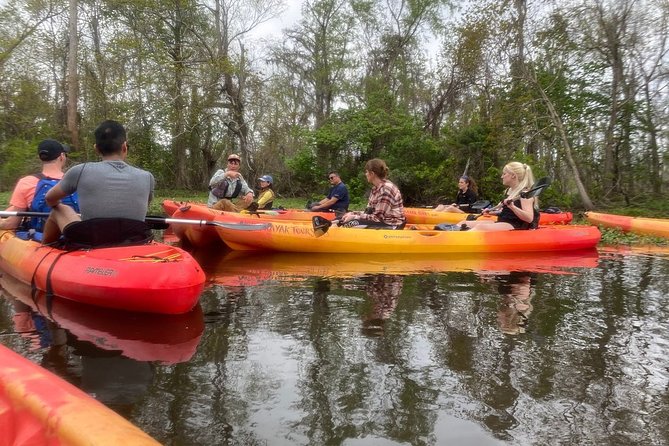Small-Group Manchac Swamp Kayak Tour - Weather rules: what happens when conditions are not right