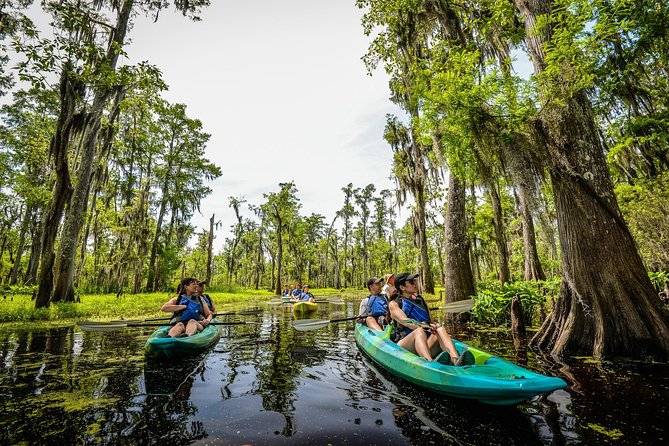 Small-Group Manchac Swamp Kayak Tour with Local Guide - Key Things to Know Before You Go