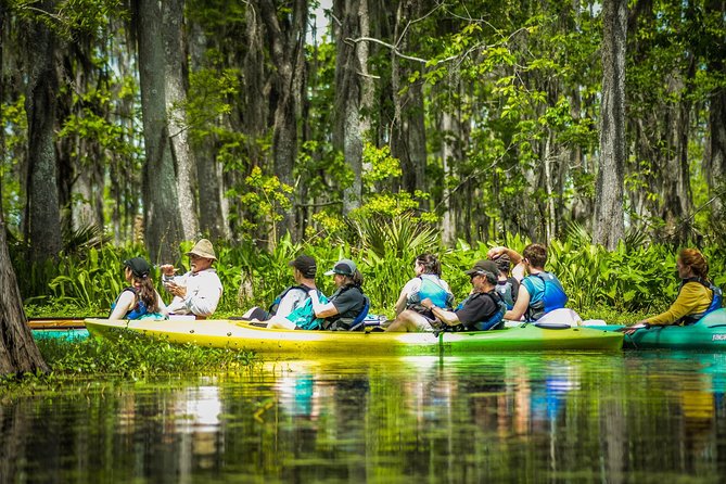 Small-Group Manchac Swamp Kayak Tour with Local Guide - The Paddle Itself: Manchac Swamp, Ruddock Lore, and Wildlife Spotting Stops