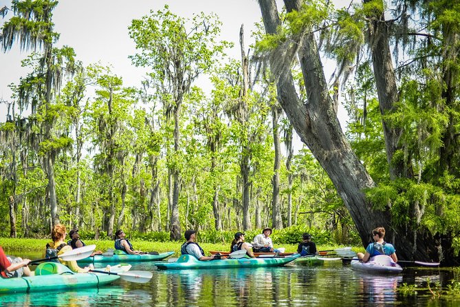 Small-Group Manchac Swamp Kayak Tour with Local Guide - Fitness, Cold Water, and What to Wear So You Stay Happy