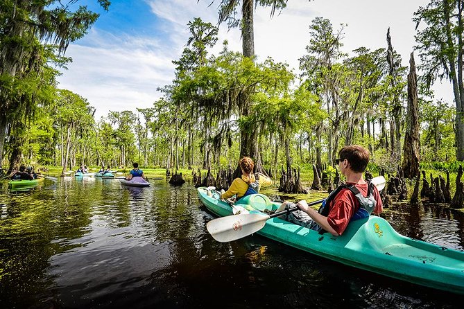 Small-Group Manchac Swamp Kayak Tour with Local Guide - At the Start: Kayaking Intro, Swamp Rules, and Meet Your Guide