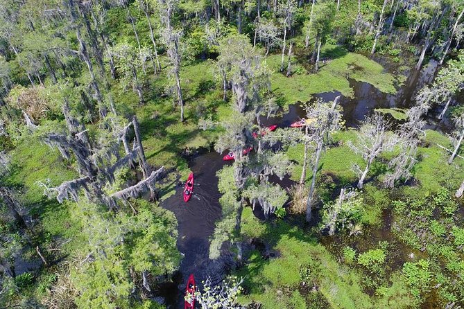 Small-Group Manchac Swamp Kayak Tour - Your first strokes: tandem kayaks and the included paddle lesson