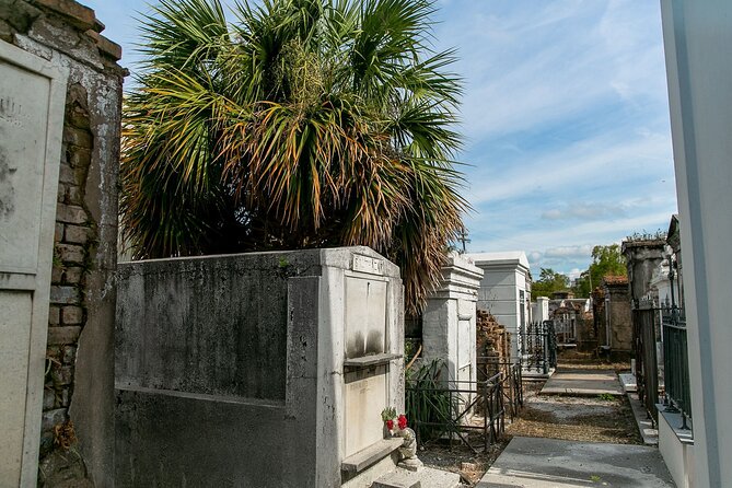 St. Louis Cemetery No. 1 Official Walking Tour - Why St. Louis Cemetery No. 1 needs an official guide