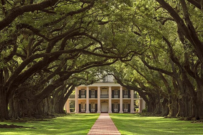 Swamp Boat Ride and Oak Alley Plantation Tour from New Orleans - Guides, storytelling, and why the narration matters