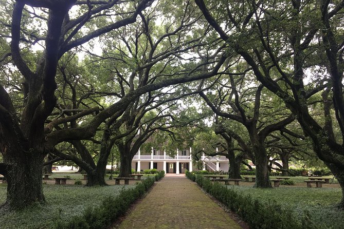 Whitney Plantation and Airboat Tour from New Orleans - Airboat Swamp Tour: Wildlife Sightings and Captain Humor
